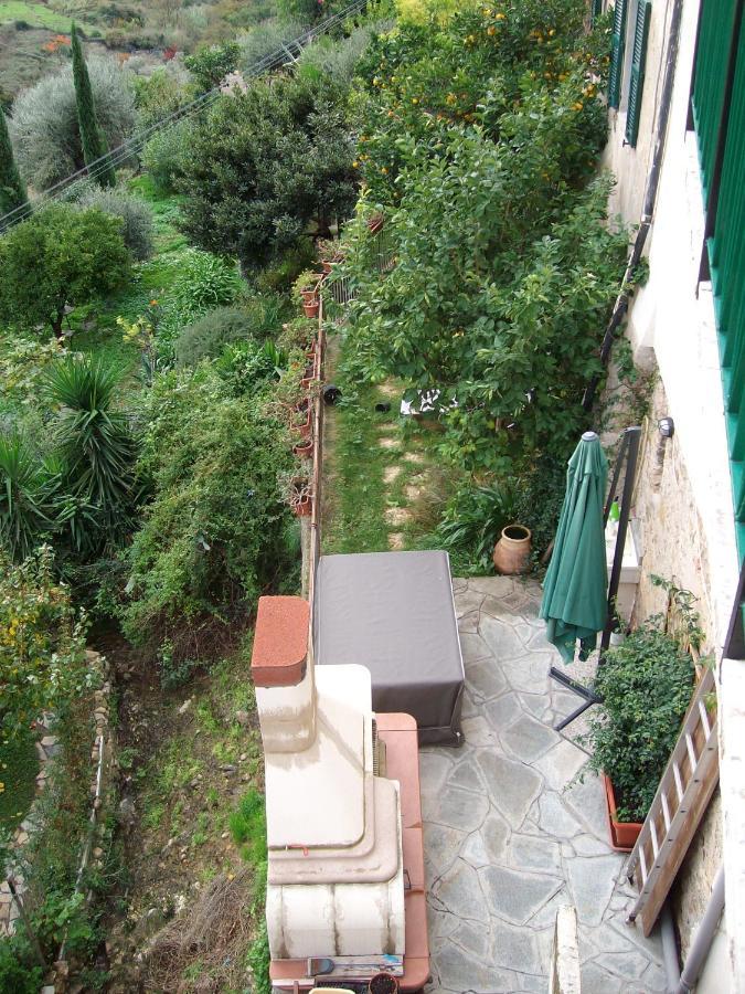 Collina Degli Ulivi Appartement Castellaro  Buitenkant foto